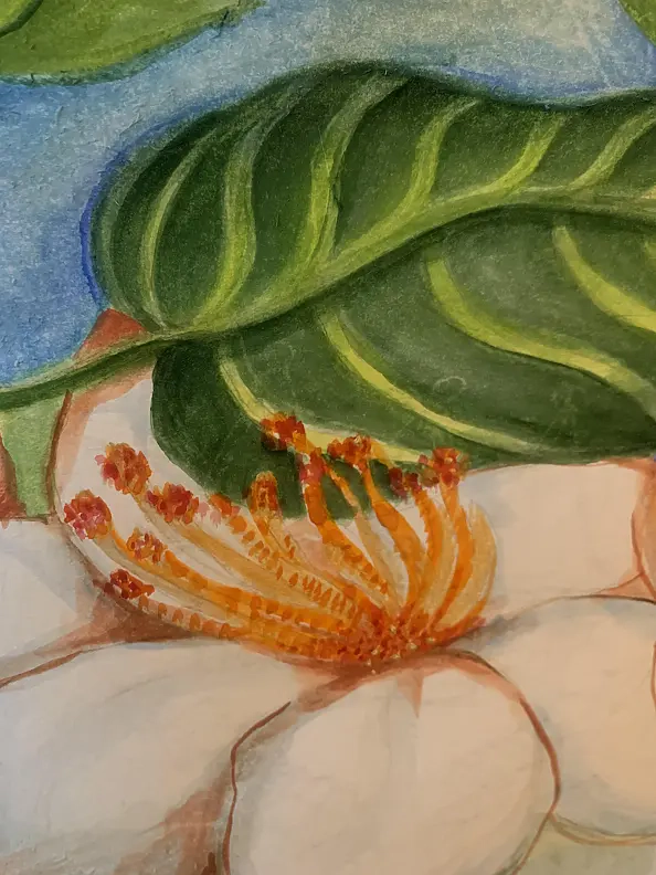 Alina Skiba - Joyous Family