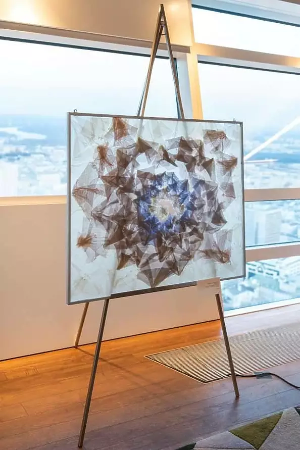 Małgorzata Jabłońska - Judas?