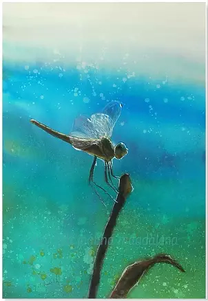 Joanna Magdalena - Matins