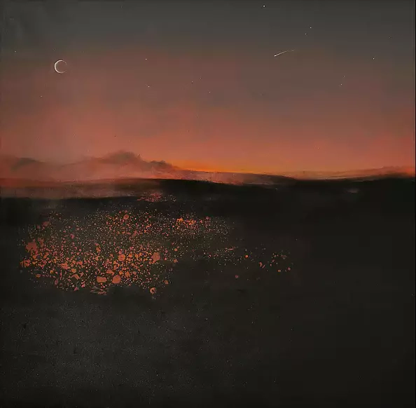 Nina Zielińska-Krudysz - Only stars and silence can be heard