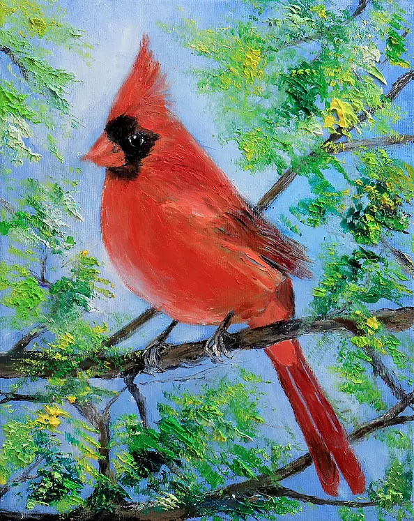 Radosław Popek - CARDINAL