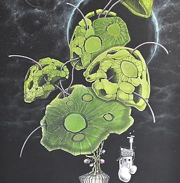 Dariusz Franciszek Różyc - ''KINOKO'' series ''Not so faraway...''