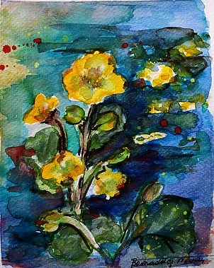   - KNIEĆ BŁOTNA - KACZEŃCE