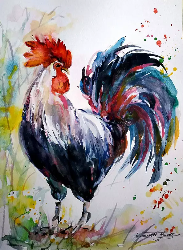 Bernadeta Nowak - KOGUT Z MAŁOPOLSKI