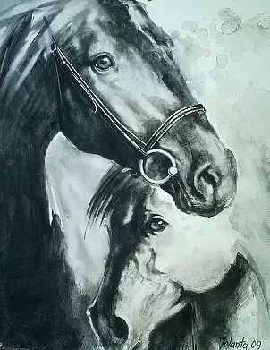 Jolanta Kalopsidiotis - KONIE