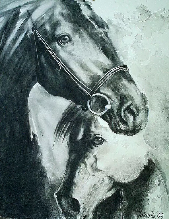 Jolanta Kalopsidiotis - KONIE