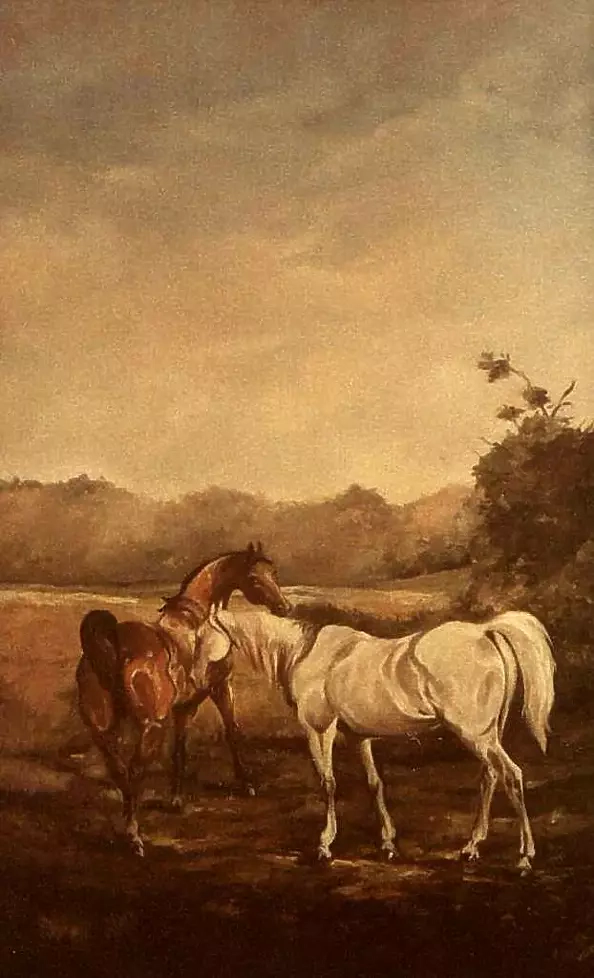 Marek Kubski - HORSES