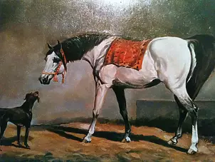Marek Kubski - ARABIAN HORSE AND DOG ON BOARD -OLEJ