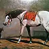 Marek Kubski - Arabian Horse И СОБАКА НА БОРТУ -OLEJ