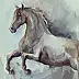 Michalina Derlicka - HORSE