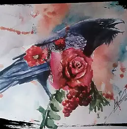 Michał Koloch - KRUK