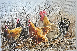 Aleksander Stolicki - CHICKEN