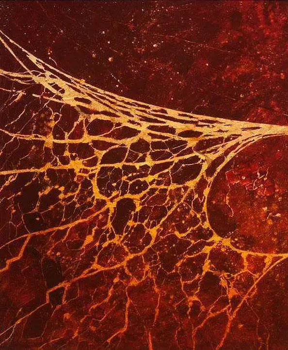 Tadeusz Gazda - K-XXIV