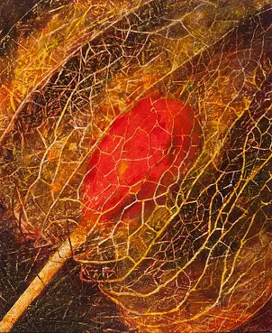 Tadeusz Gazda - K-XXXII