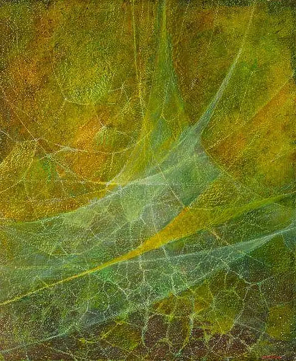 Tadeusz Gazda - K-XXXXII