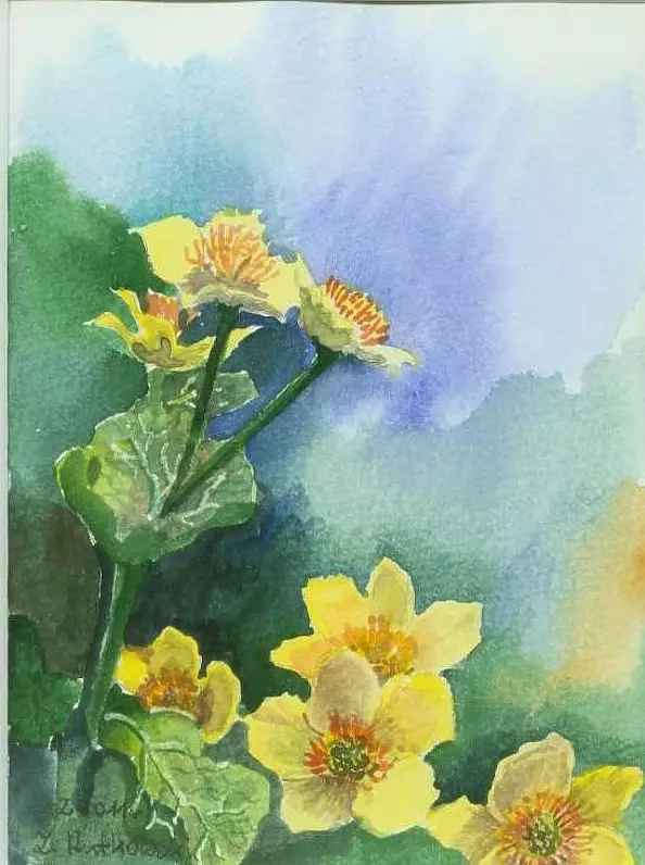 Zdzisław Rutkowski - Kaczeńce IV