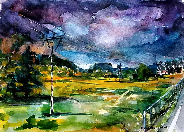 Bernadeta Nowak - marigolds