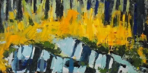 Katarzyna Brodowska - Kaczeńce