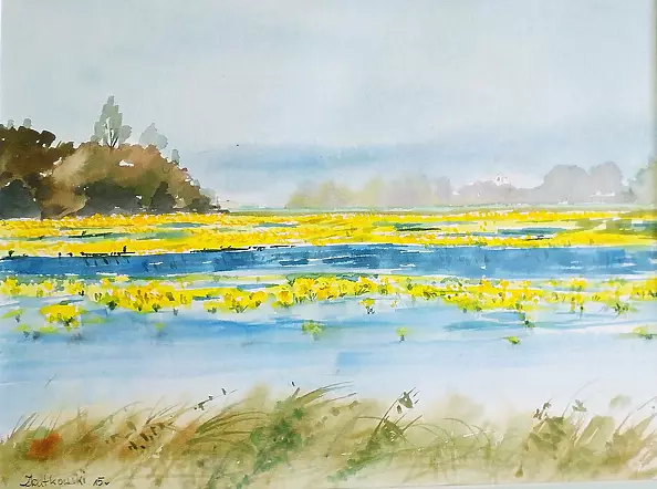 Zdzisław Rutkowski - marigolds