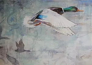 Paweł Wołos - Duck