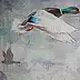 Paweł Wołos - Duck