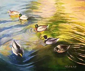 Renata Rychlik - Ducks