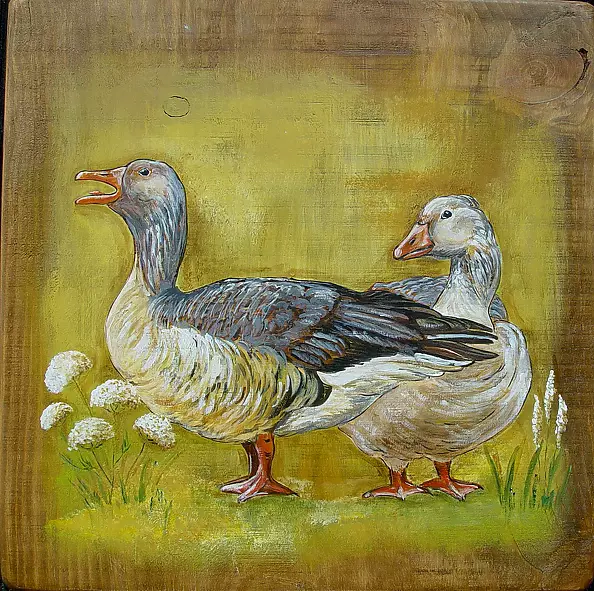 Katarzyna Niemczak - Kaczy świat