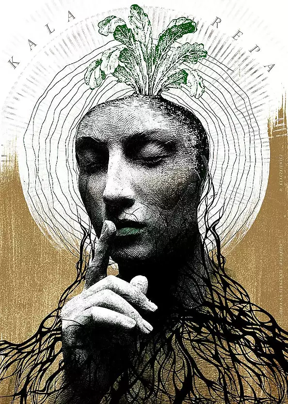 Damian Kłaczkiewicz - Kohlrabi