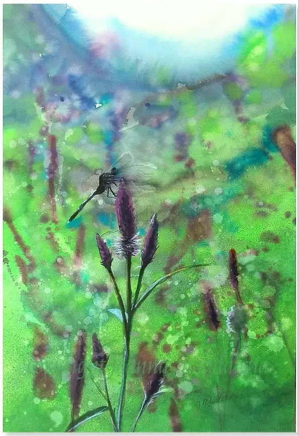 Joanna Magdalena - Kaleidoscope