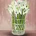 Jadwiga Rudnicka - Calla Lilies in un vaso di cristallo, versione II