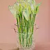 Jadwiga Rudnicka - Calla lilies in a crystal vase, version I
