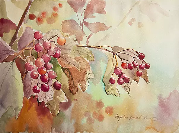 Magdalena Bronakowska - Kalina reef