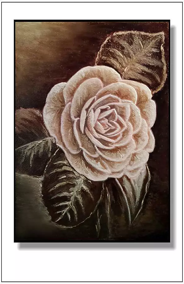 Jolanta Dusza - Camellia