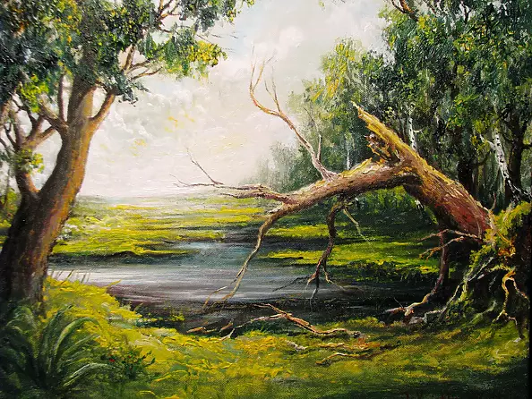 Tomasz Jaxa Kwiatkowski - Kampinowskie błota