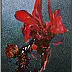 Marek Chomczyk, Canna, Acrylgemälde - Leinwand, 94 x 150