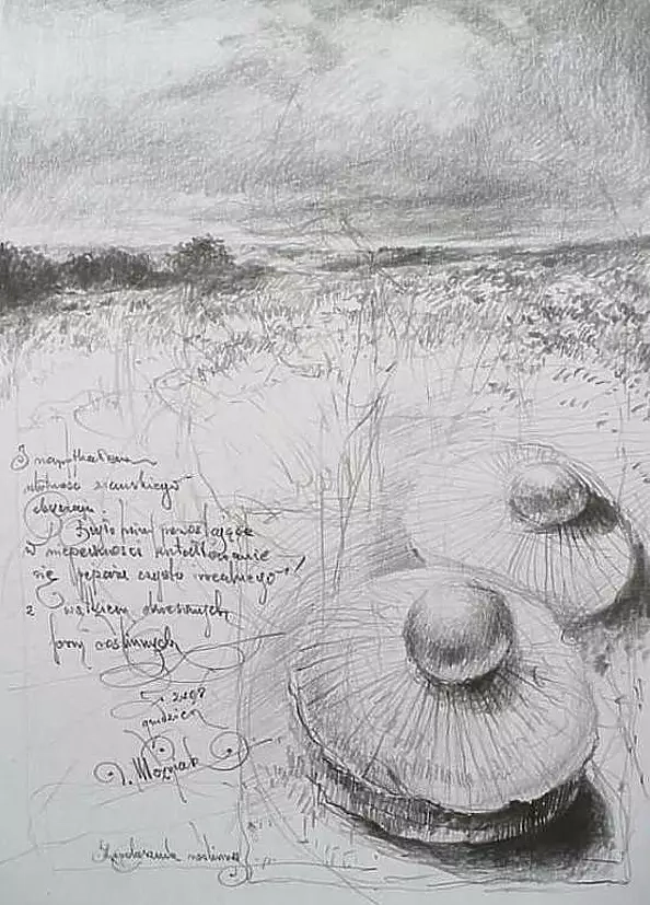 Dominik Woźniak - Kapeluszniki