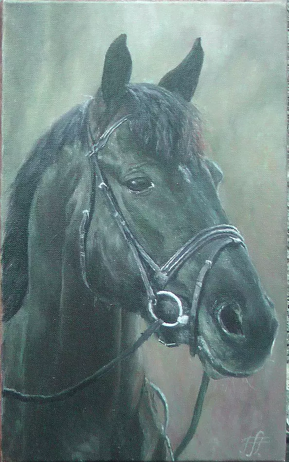 Piotr Pawelczyk - Kary, głowa konia.