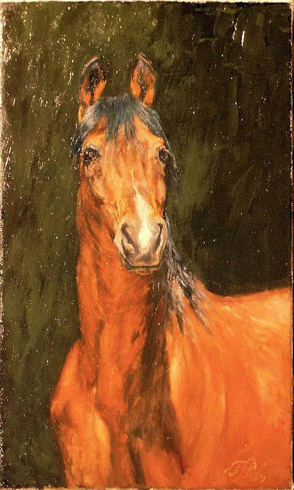 Piotr Pawelczyk - Chestnut, horse head.