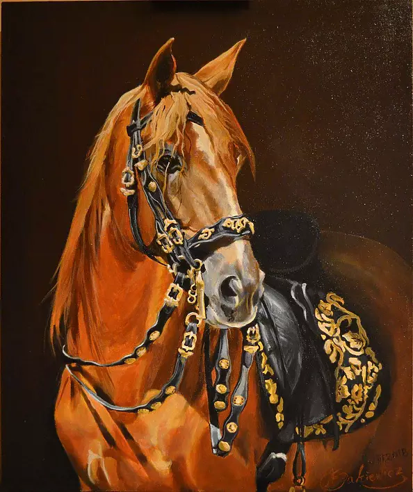 Agnieszka Morysiak - Kasztan pod siodłem