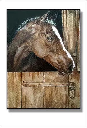 Jolanta Dusza - Chestnut in boxing