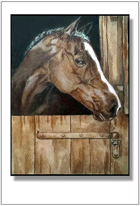 Jolanta Dusza - Kasztan w boksie