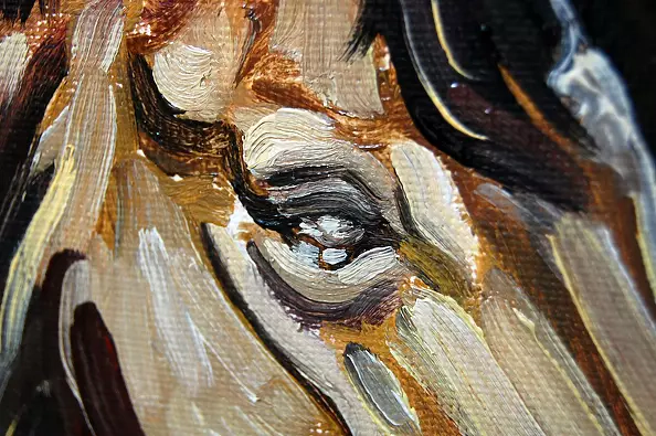 Amelia Augustyn - Chestnut