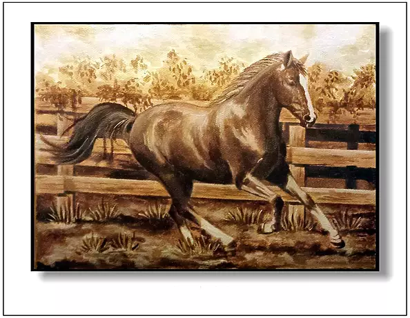 Jolanta Dusza - Kasztanka3