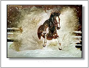 Jolanta Dusza - Kasztanka6