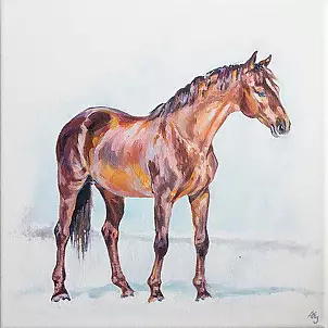   - Chestnut horse in sunny winter day