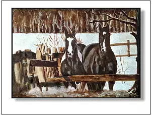 Jolanta Dusza - Kasztany1