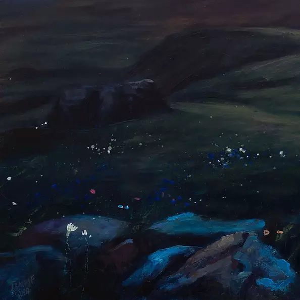 Wojciech Pater - Kazbek III - High Meadows