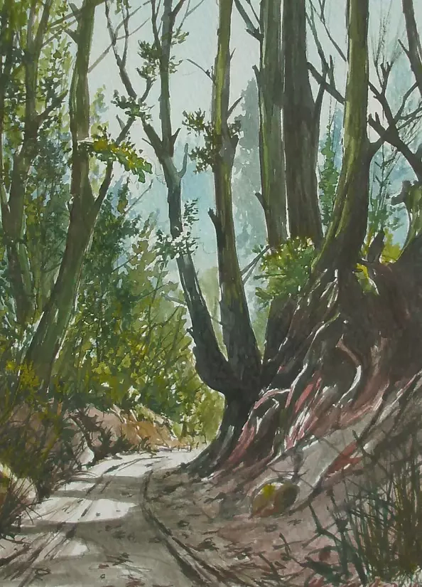 Jacek Stryjewski - Kazimierz Dolny 2011 - wąwóz korzenny