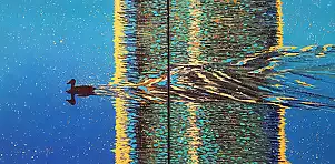 Jacek Malinowski - Wake