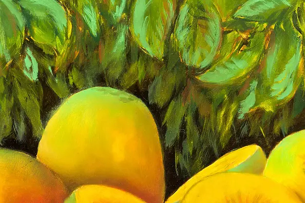 Mariusz Krzysztof Aniśko - kiwis